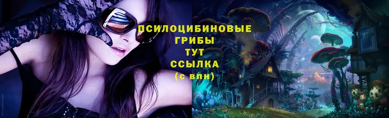 Галлюциногенные грибы Magic Shrooms  купить   Карачаевск 